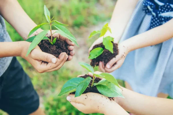 sustainable lifestyle