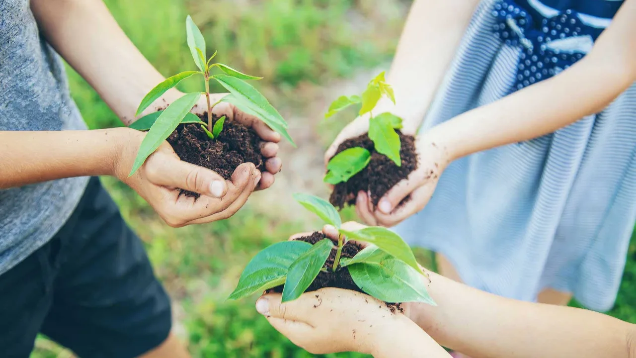 sustainable lifestyle