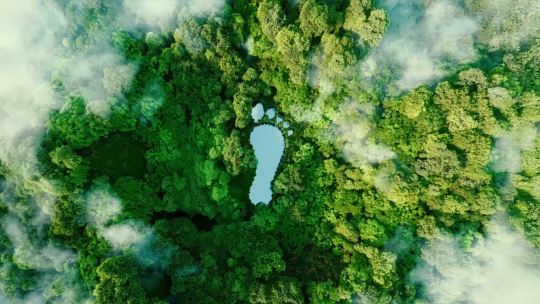 The New Era of Climate-Conscious Construction